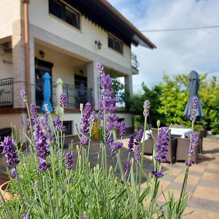 Apartman Nada Ozalj Bagian luar foto